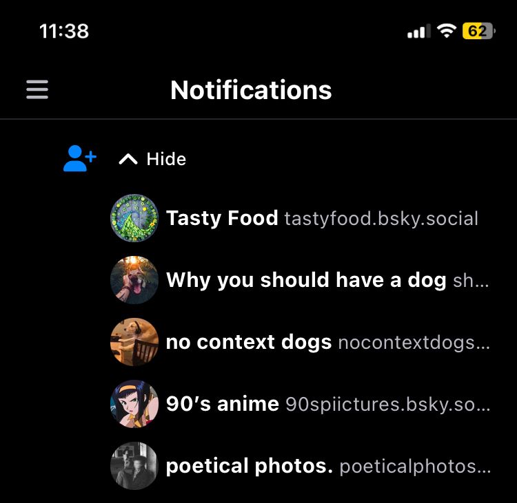 Screenshot of my notifications that include accounts like “no context dogs” or “90’s anime” that are probably bots trying to follow me but I’m not a data slut I don’t give it up that easy 