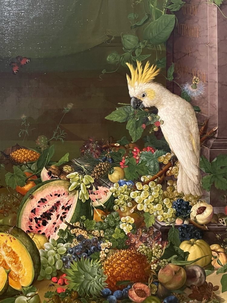 Part of a painted still life showing a white cockatoo and many fruits