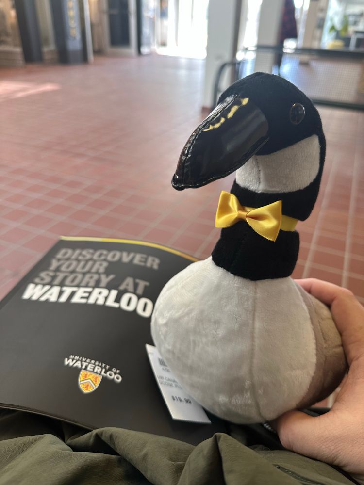 A stuffed Canadian goose from the University of Waterloo. 
