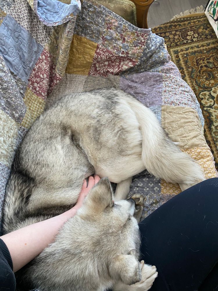 Parasta mitä on 🖤