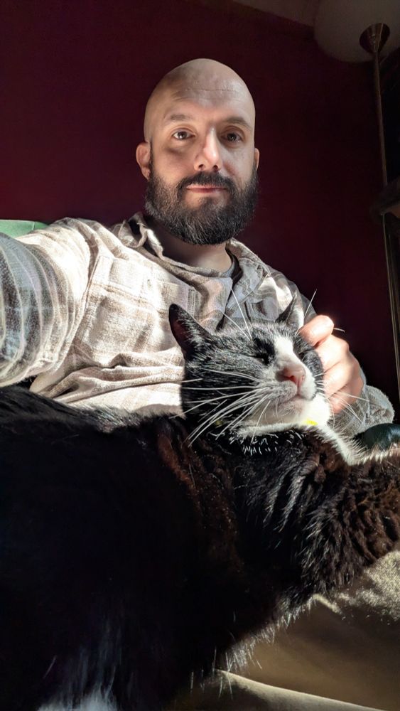 Cat sat on my knee in a sunbeam with a blissed out expression on her face as she's getting petted in the sun