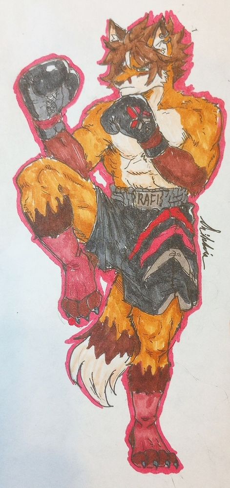Kickboxin Rafi 🥊 🦊