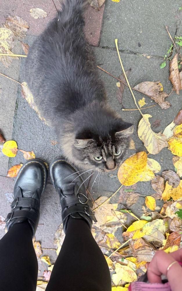 Deutsche Kinder hat heute Nikolaus gefeiert und Sie hat ihre Schuhe nicht geputzt aber egal ich habe ein Geschenk 💝 für sie bringen 