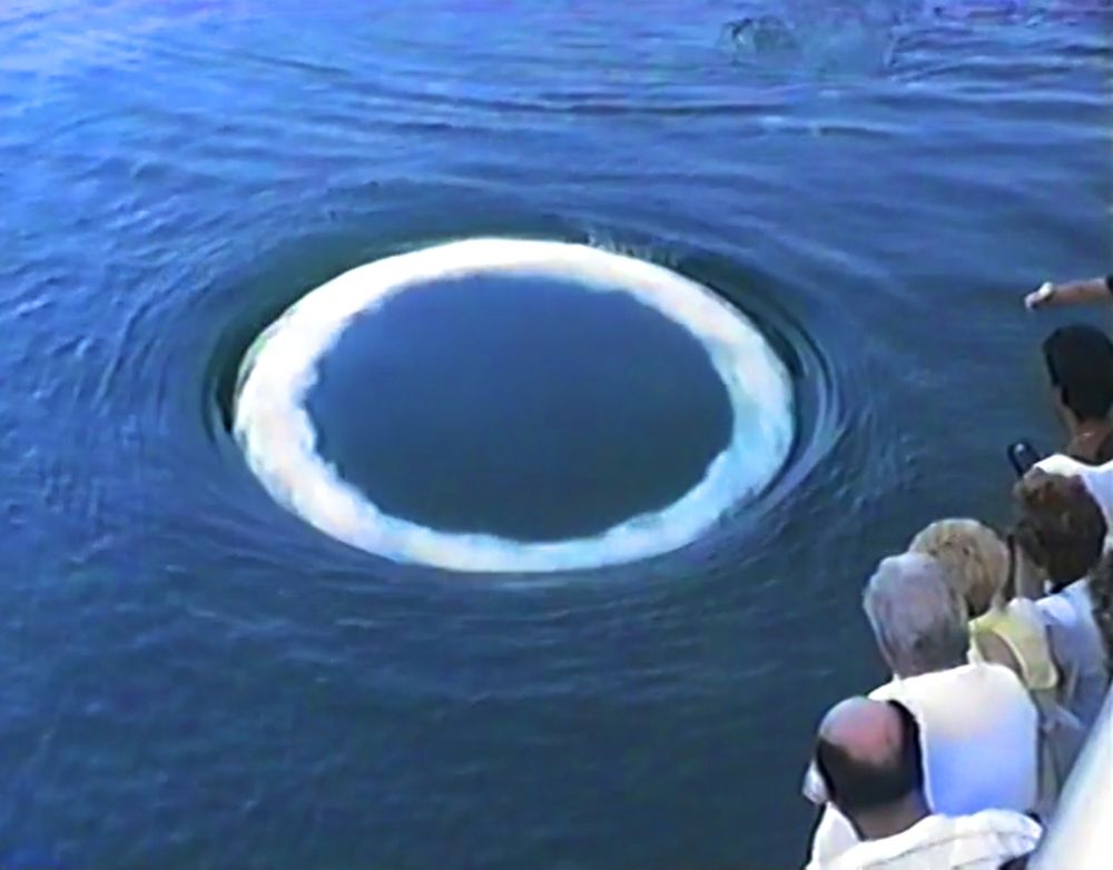 WhaleSETI: Curious Humpback Whales Approach Humans and Blow Bubble “Smoke” Rings