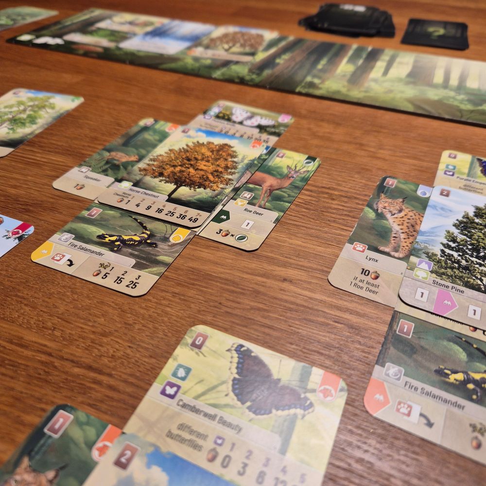 Final situation of a game of Forest Shuffle. In the distance the clearing and behind it the solo deck. Closer are tree cards surrounded by different animal cards.