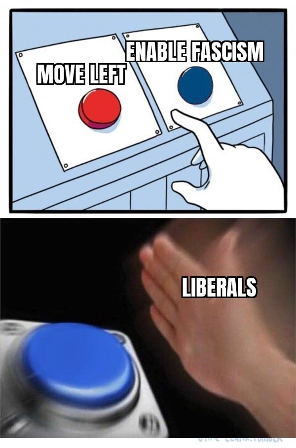 2 button meme with the choice between red (move left) or blue (enable fascism) Hand (liberals) smashing the blue button