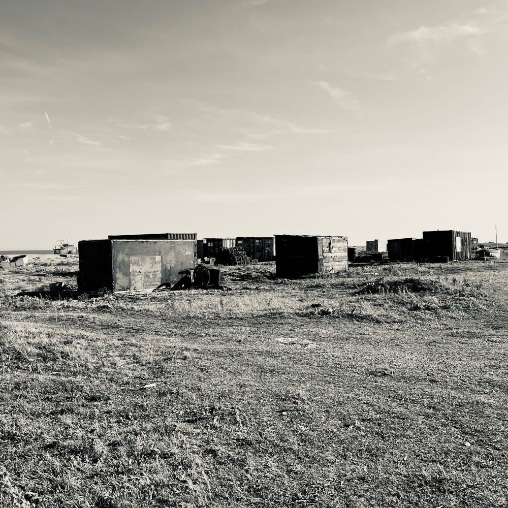 Shipping containers on a shingle beach surrounded by scrub.