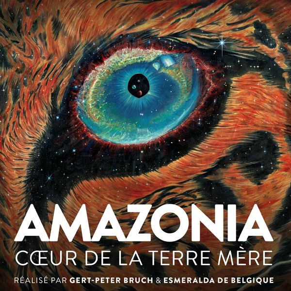 Image de publication
