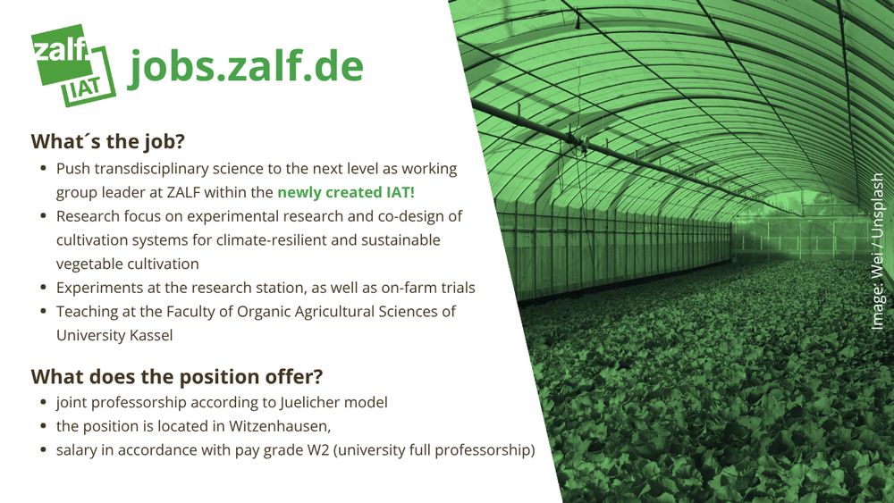 What´s the job?
- Push transdisciplinary science to the next level as working
group leader at ZALF within the newly created IAT!
- Research focus on experimental research and co-design of cultivation systems for climate-resilient and sustainable
vegetable cultivation
- Experiments at the research station, as well as on-farm trials
- Teaching at the Faculty of Organic Agricultural Sciences of
University Kassel

What does the position offer?
- joint professorship according to Juelicher model
- the position is located in Witzenhausen,
- salary in accordance with pay grade W2 (university full professorship)

Copyright: Wei / Unsplash