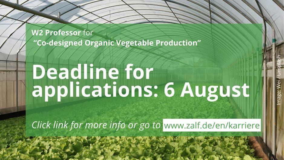 W2 Professor for “Co-designed Organic Vegetable Production”  

Deadline for Applications: 6 August 2025

www.zalf.de/en/karriere

Copyright: Wei / Unsplash

