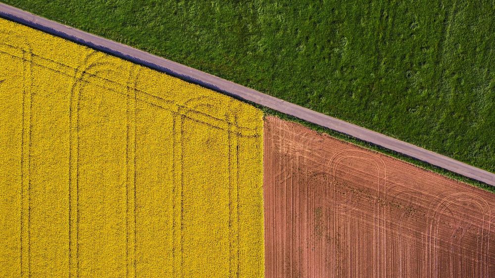 This is an aerial view of the edge of a field. Source: Jean Wimmerlin / unsplash