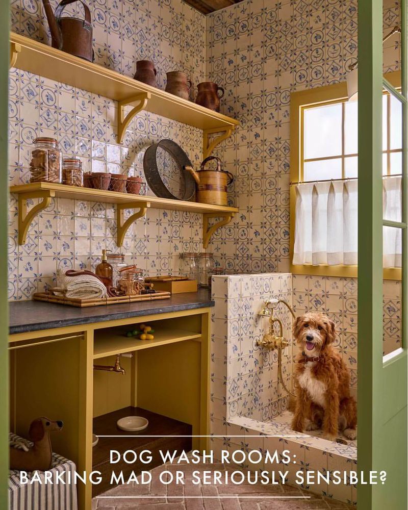A dog sitting in a small wash area. The text says 