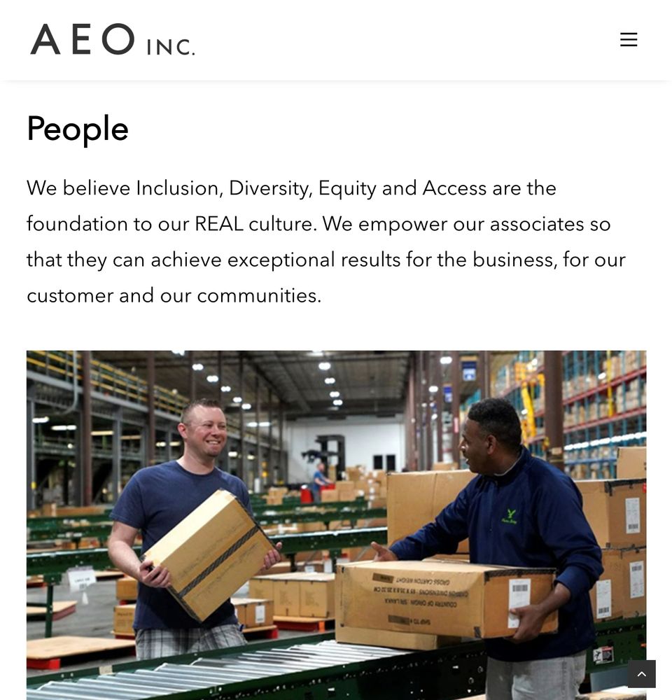 The DEI page on American Eagle's website. "We believe Inclusion, Diversity, Equity, and Access are the foundation to our REAL culture."