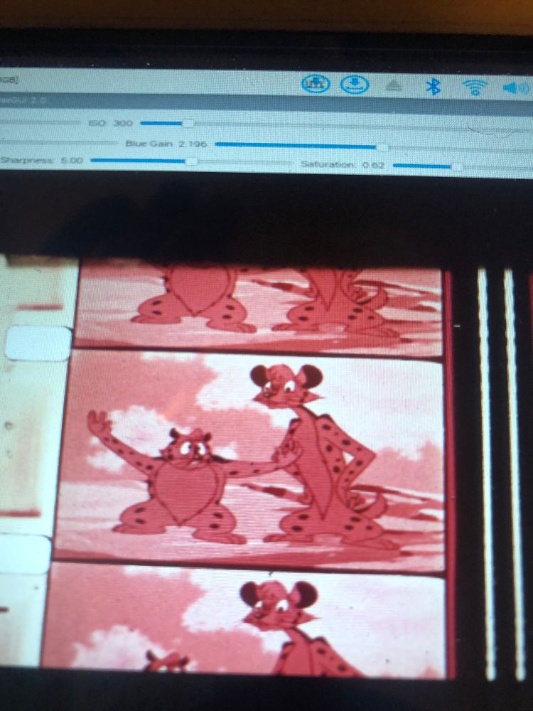 Captured image from a 16mm film reel of an episode of Kimba the White Lion featuring two cheetahs, one pudgy and the other slender.