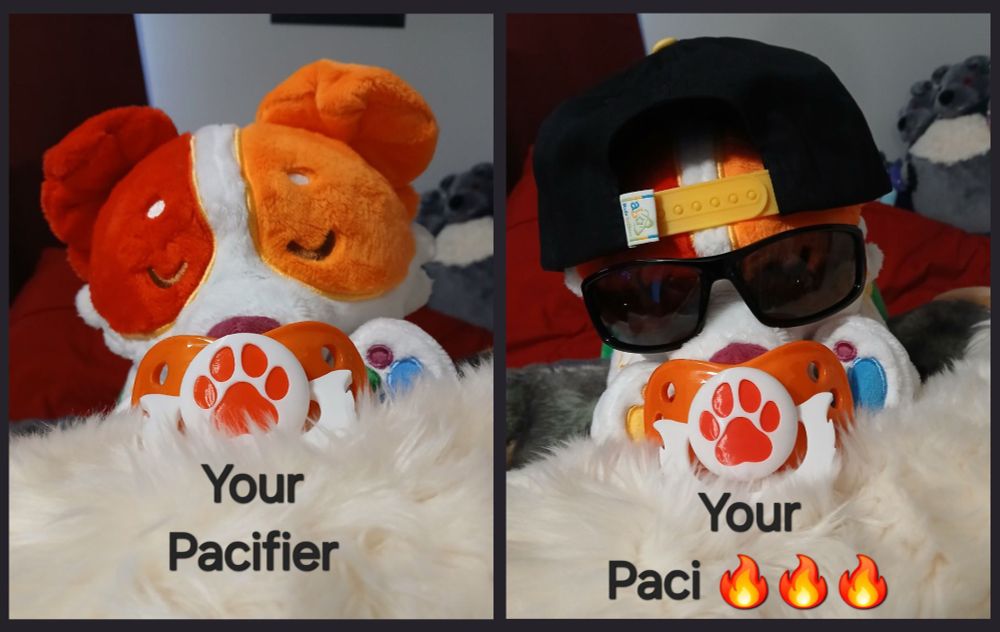 Pup plush with a paci and then the super cool backwards hat sunglasses version right next to it.