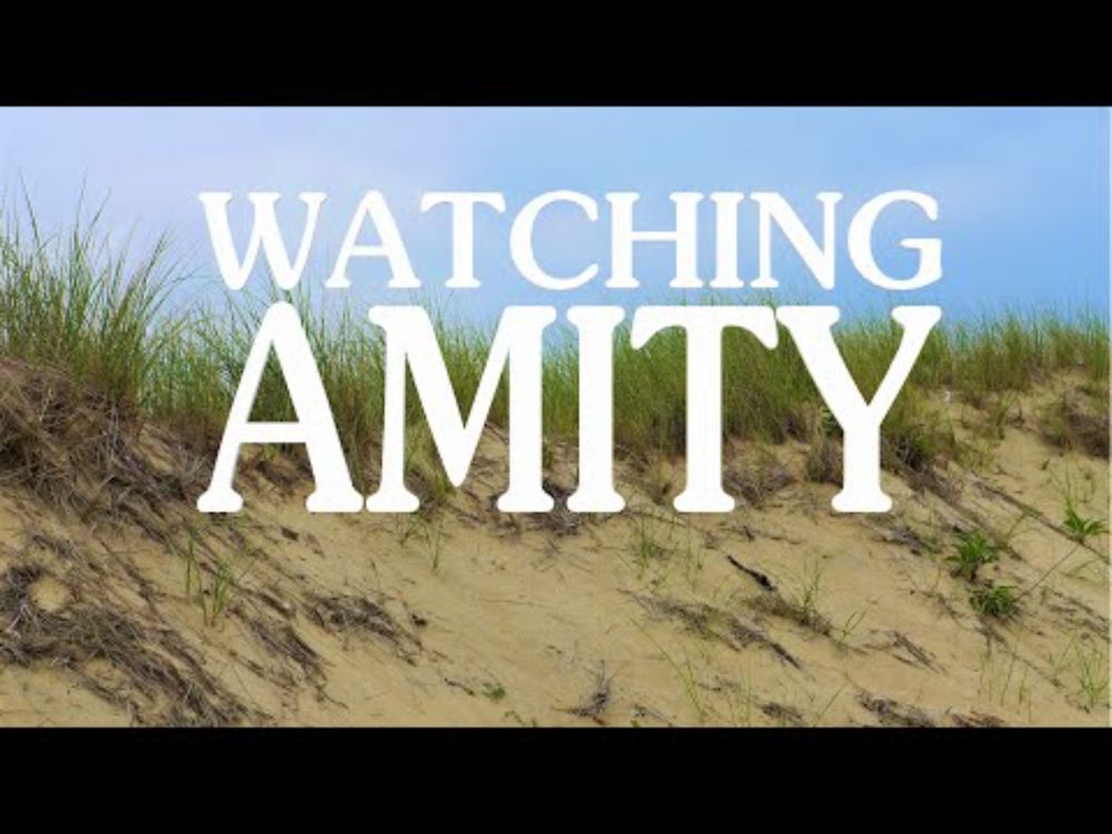 WATCHING AMITY  - A JAWS Road Trip