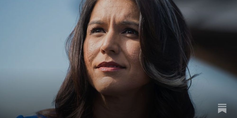 American Stasi: Tulsi Gabbard Confirms "Quiet Skies" Nightmare