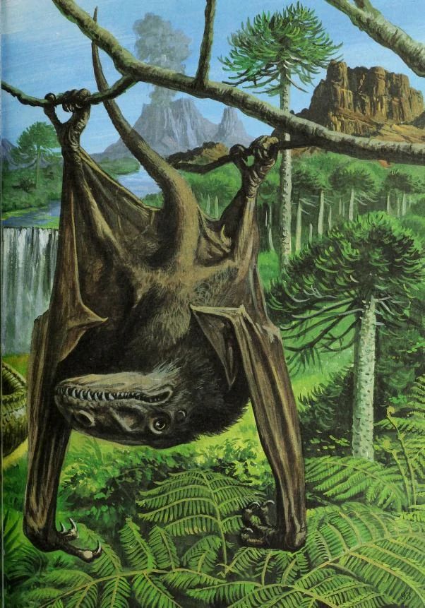 A furry, bat-like Dimorphodon hangs from a branch by its feet, backed by a lush forested landscape. A volcano belches smoke in the distance.