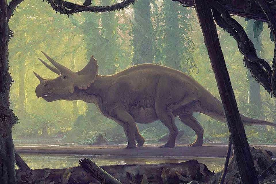 A Triceratops strolls towards a stream, passing through a densely vegetated swampy woodland. Vines and small trees obstruct our view of the dinosaur. 