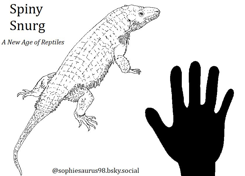 A chunky, spiny-scaled lizard with a thin, short tail is shown beside the silhouette of a hand, showing it to be roughly the same size as a Bearded Dragon. Text to the upper left reads "Spiny Snurg, A New Age of Reptiles" and text near the bottom reads "@sophiesaurus98.bsky.social"