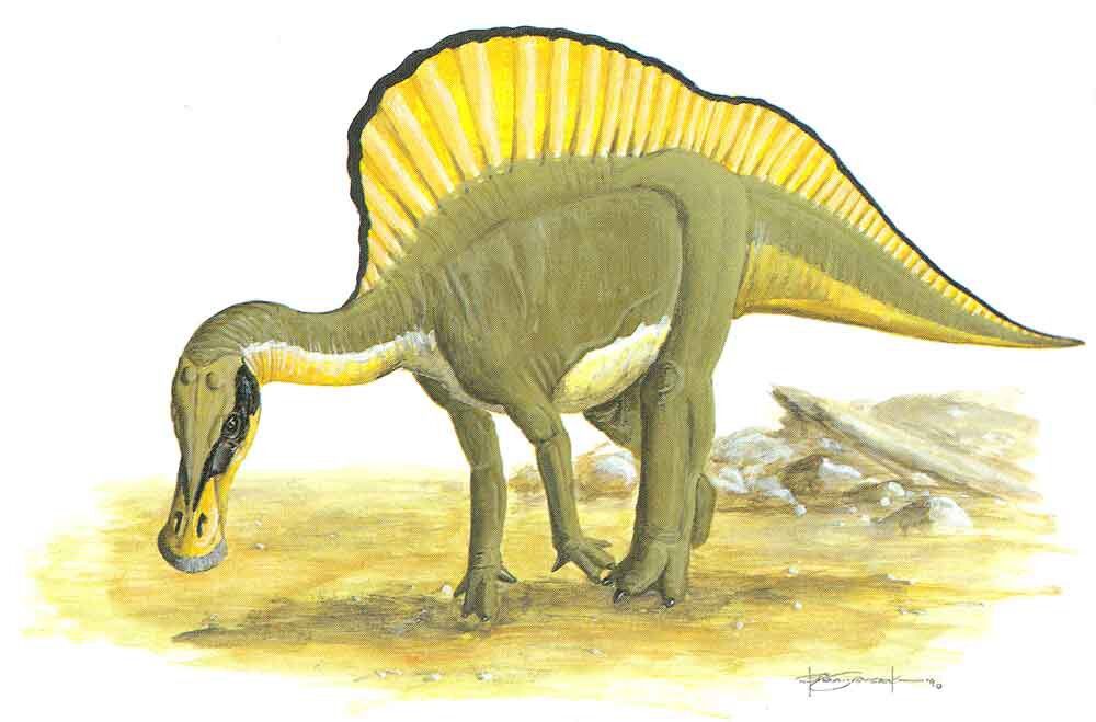 An Ouranosaurus with a yellow and black frill and facial markings inspects a dry riverbed.
