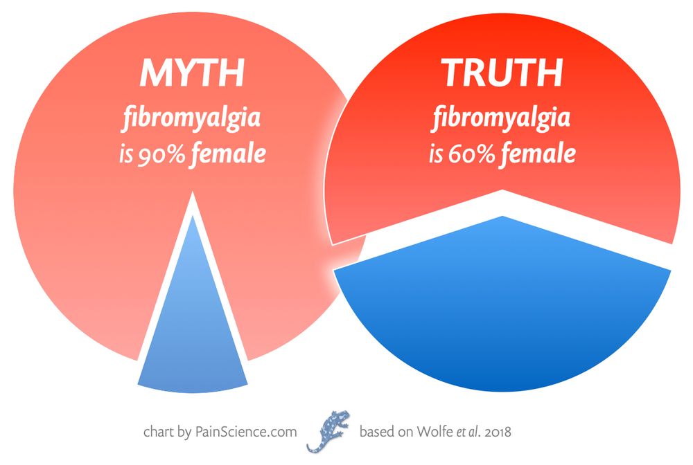 A pair of pie charts compares a myth versus the truth about the gender ratio in fibromyalgia. The left chart, labeled “MYTH,” claims that fibromyalgia is 90% female and shows a small blue wedge (male) and a large red portion (female). The right chart, labeled “TRUTH,” states that fibromyalgia is actually only 60% female.