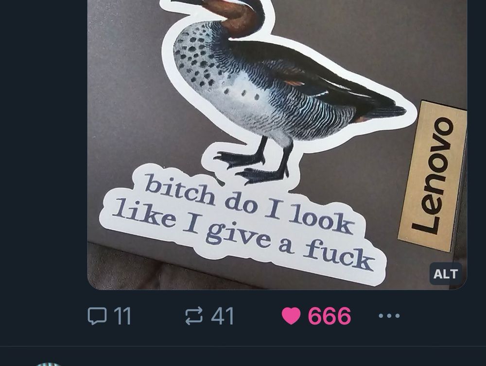 Comment image