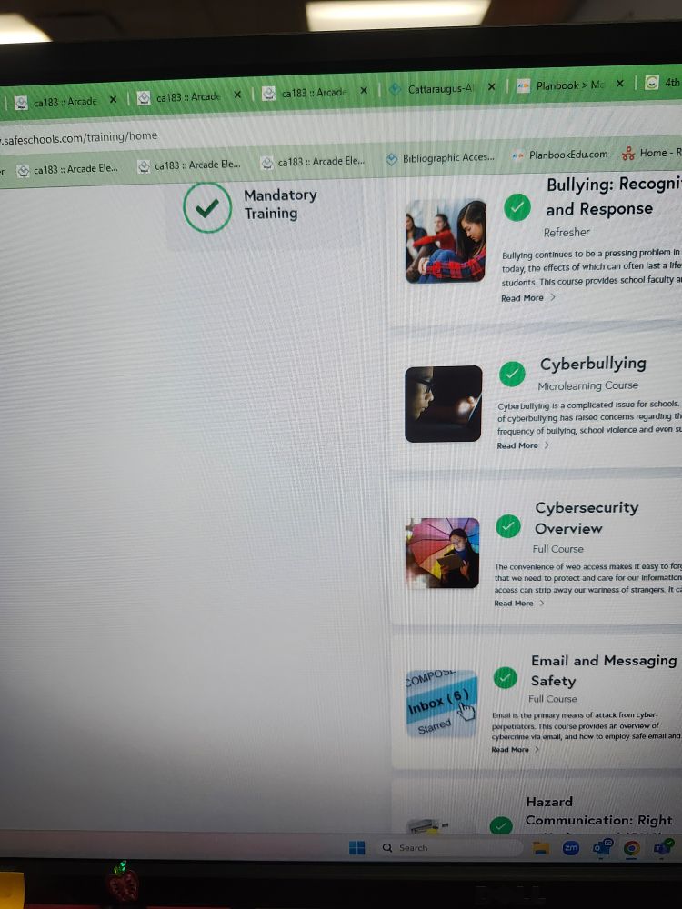 Screen shot of my completed Vector training 