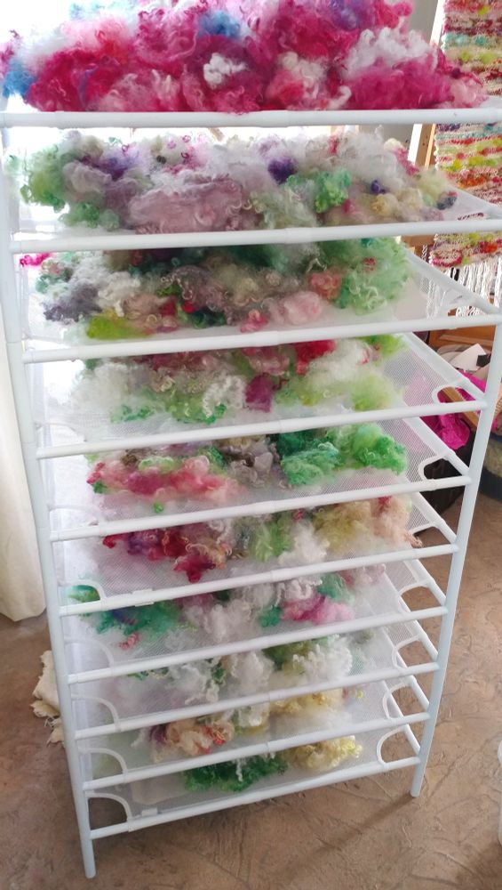 Dyed sheep wool