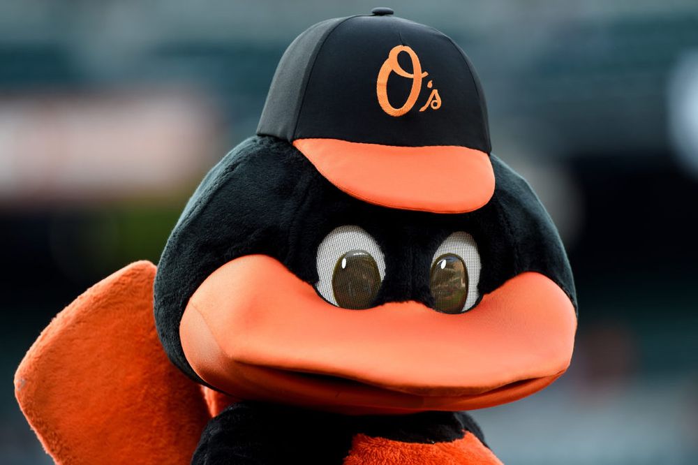 The Baltimore Orioles mascot with a very glum, perplexed expression on his face 