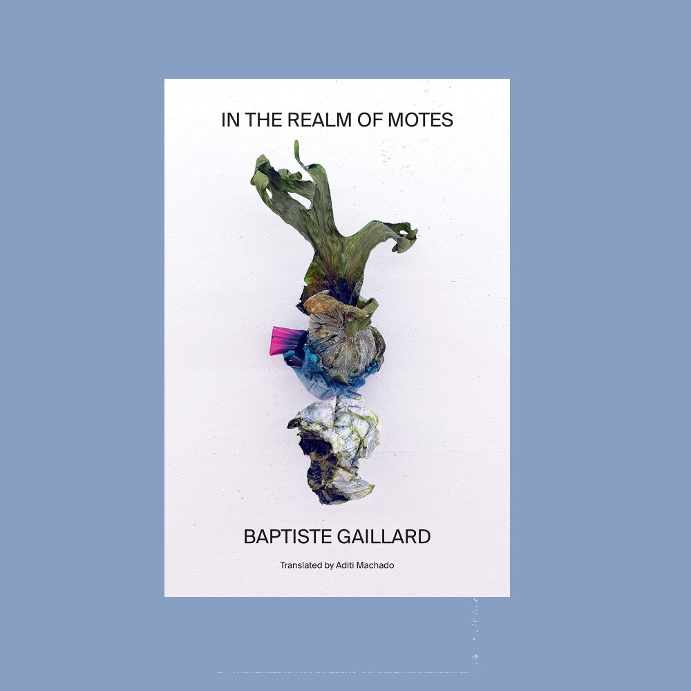 Book cover against blue background. Cover reads "In the Realm of Motes Baptiste Gaillard Translated by Aditi Machado." Cover image is of artwork by Gaillard.