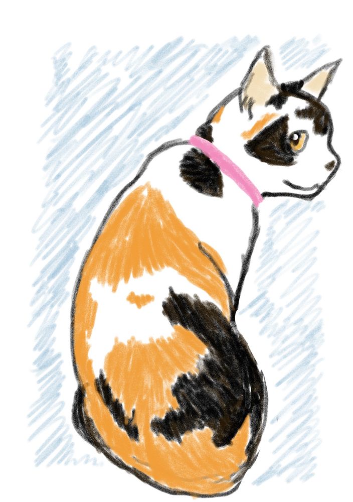 やや擬人化した猫