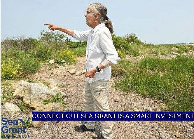 Beth Sullivan of the Avalonia Land Conservancy talking about the living shoreline project at the Dodge Paddock-Beal Preserve in Stonington.
