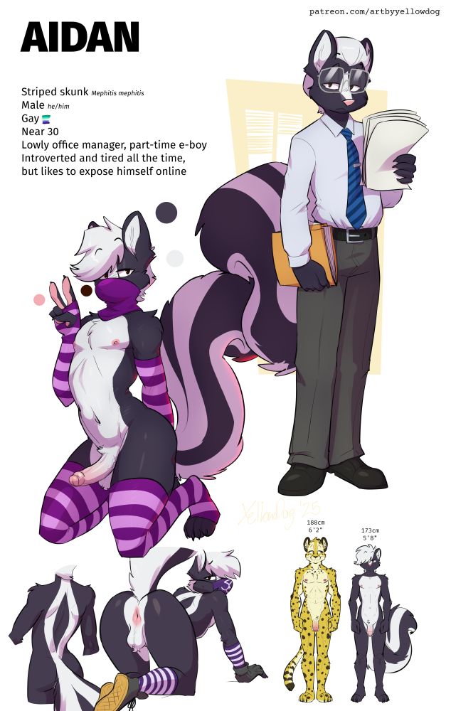Character reference sheet for Aidan. Species: striped skunk (Mephitis mephitis) / Gender: Male (he/him) / Sexual orientation: Gay / Age: Near 30 / Description: Lowly office manager, part-time e-boy; introverted and tired all the time, but likes to expose himself online. Height: 173 centimeters or 5 feet 8, in comparison to Eli, the cheetah, who's 188 centimeters and 6 feet 2