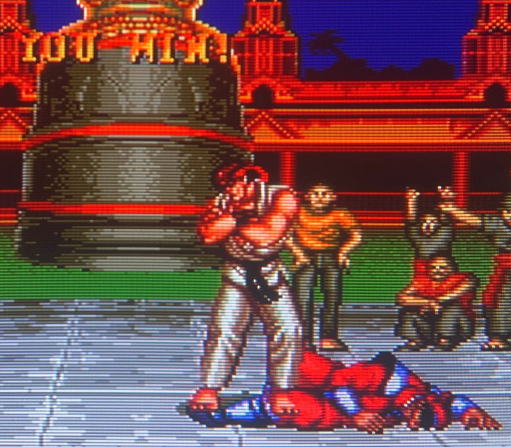 Ryu stands over the crumpled body of the evil dictator at the head of the tournament 