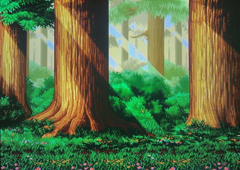 a peaceful forest where sunlight filters through the leaves // Samurai Shodown 2 for Neo Geo AES, photography on CRT TV 