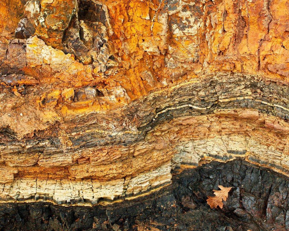 A close up of rock layers running horizontally, with a small brown withered oakleaf blown along the bottom adding scale. The rich colour pigments range from rusty orange, various browns, cream, with a  Bideford Black seam running along the bottom.  Bideford Black, a carbonaceous  clay-like material, was mined for 200 years in the town of Bideford until the 1950's, and was used as a strong black pigment for paint, paper, rubber, ship building, and even mascara!
Artists prize Bideford Black for it's deep, velvety black colour, and non-reflective properties.