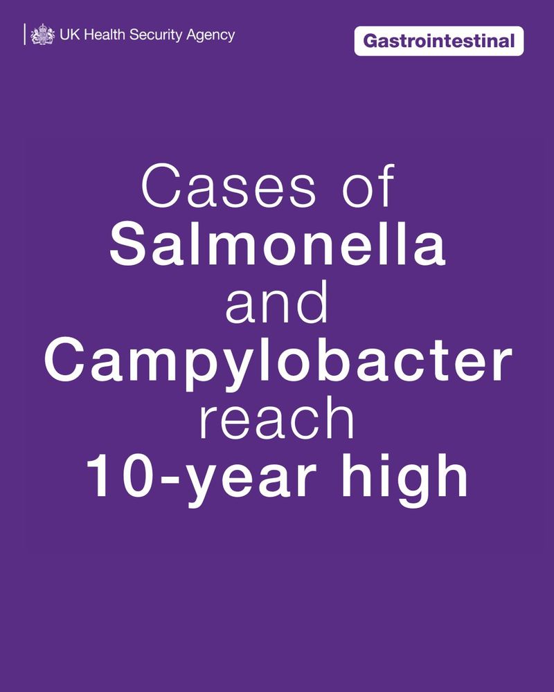 Cases of Salmonella and Campylobacter reach 10-year high