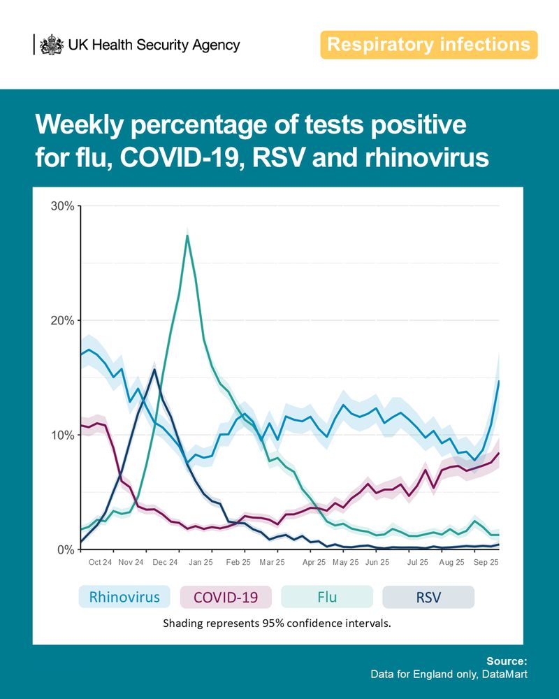 Line graph showing weekly percentage of positive tests for flu, COVID-19, RSV and rhinovirus in England from October 2024 to September 2025. Rhinovirus rises sharply this September; COVID-19 and flu increase more slowly; RSV is the lowest on the chart.