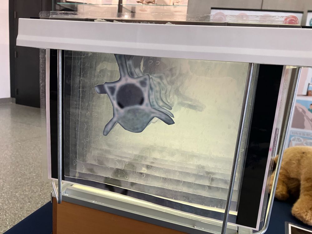 Hanging folder stand with transparent images hanging down. The images stack together to make the 3D shape of a vertebra. 