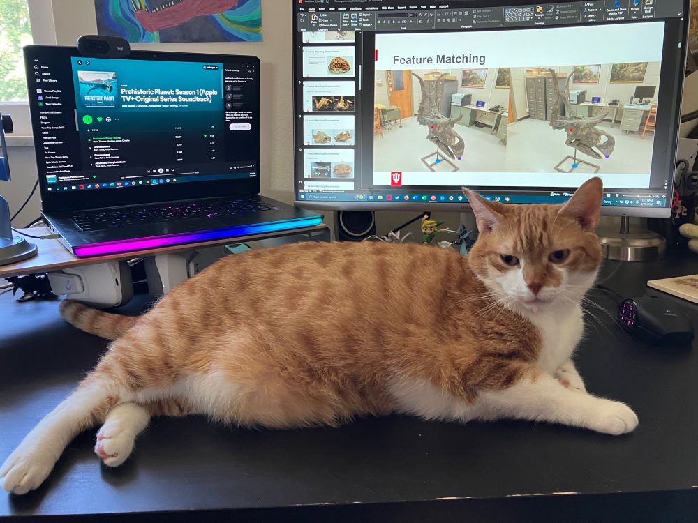 Cat blocking important work on a presentation.