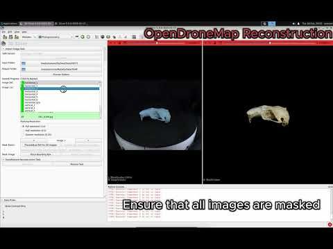 SlicerMorph Photogrammetry Module