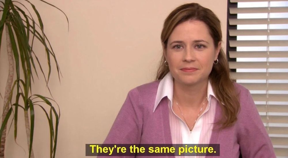 Palm from The Office “They’re the same picture”