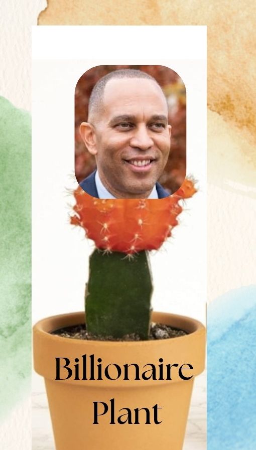 Picture of a houseplant cactus with Minority Leader Jeffries's head on top. The pot says "Billionaire Plant" in a fancy font.