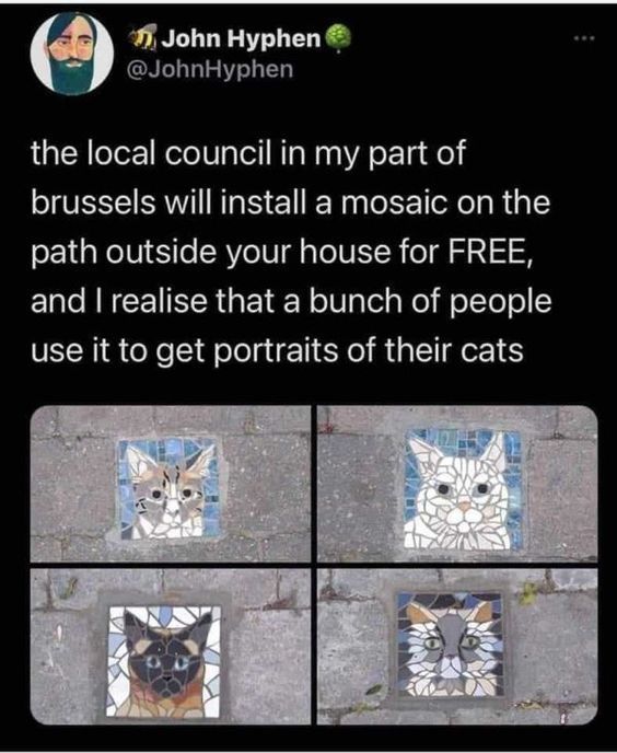 Post from social media that reads: "the local council in my part of Brussels will install a mosaic on the path outside your house for FREE, and I realise that a bunch of people use it to get portraits of their cats"

Four images of mosaic tiles depicting various cats are featured