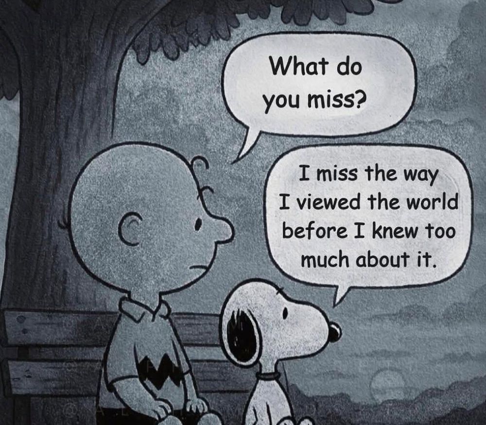 Charlie Brown and Snoopy sitting on a bench. Charlie Brown asks Snoopy what he misses. Snoopy replies that he misses the way he viewed the world before he knew too much about it. 