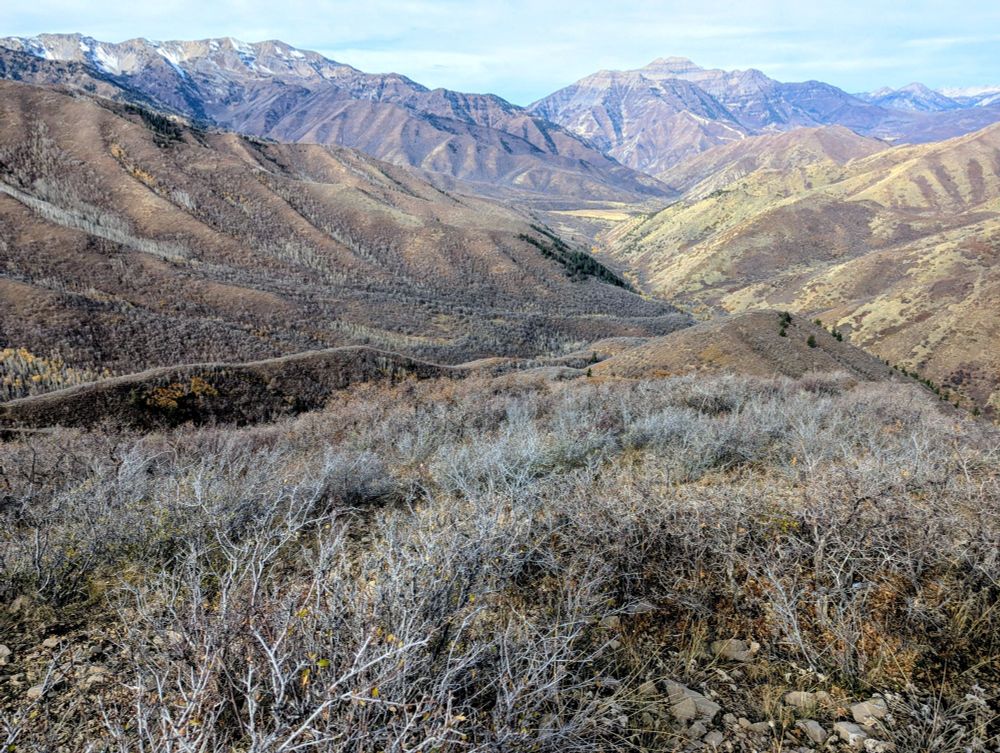 South Fork of Provo River canyon and Mt. Timpanogos