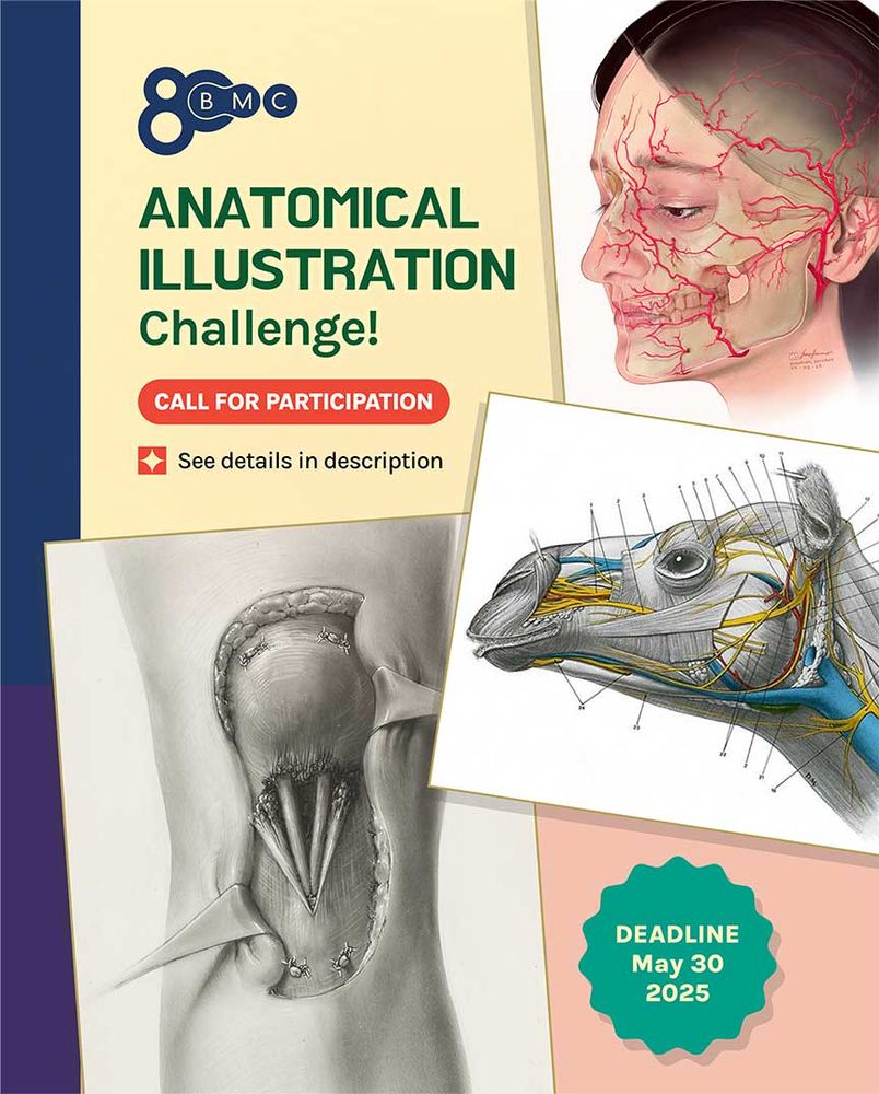 A promotional poster for the BMC80 Anatomical Illustration Challenge, hosted by the Master of Science in Biomedical Communications program at the University of Toronto. The dynamic design features three overlapping anatomical illustrations: "Arteries of the Face and Scalp" by Shehryar (Shay) Saharan, "Camel Anatomy, Superficial Nerves and Blood Vessels" by Dave Mazierski, and "Knee Surgery," an historical illustration by renowned Canadian medical illustrator Maria Torrence Wishart. The poster includes a call for participation in a red oblong shape, a note that reads see details in the description, and a green badge displaying the deadline of May 30, 2025. 