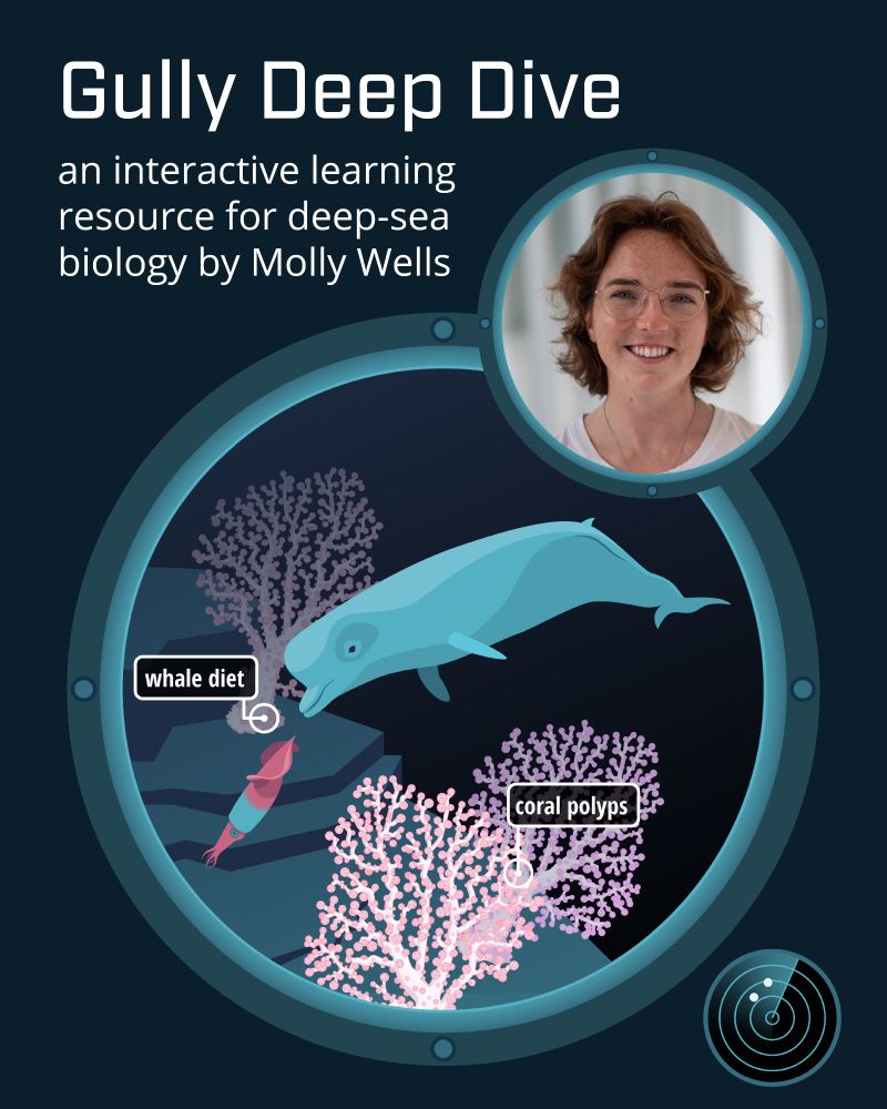 A digital illustration of an educational resource titled 'Gully Deep Dive: An interactive multi-media learning resource for deep-sea biology.' The image depicts an underwater porthole view. Inside the circular window, a blue whale swims among pink deep-sea corals. A label reading 'whale diet' points to a squid near the whale's mouth. Another label reading 'coral polyps' points to details of the coral structure. The background is dark, resembling deep-sea depths. In the top right, a circular frame contains a photograph of the project creator Molly Wells, a smiling woman with short, wavy brown hair and glasses, who wears a white top.