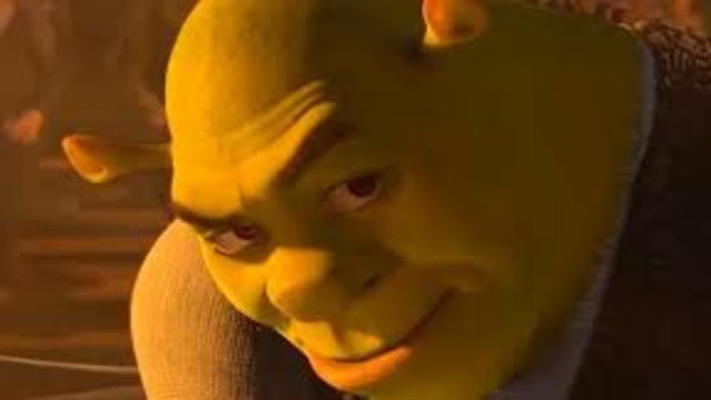 Shrek suggestive face